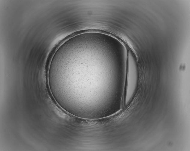 X0000090901072200708131348