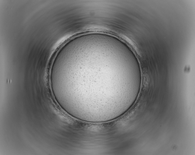 X0000090901074200708131348