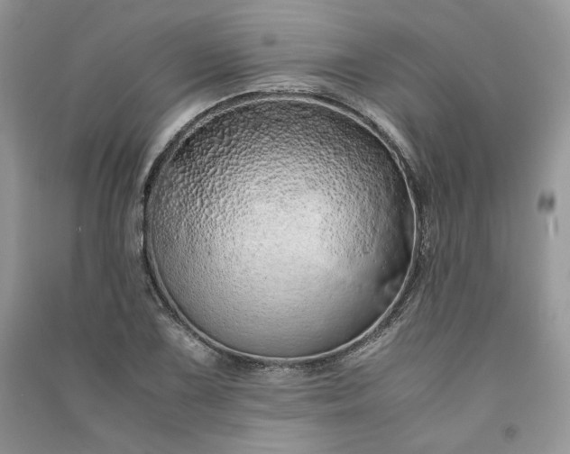 X0000090901075200708131347