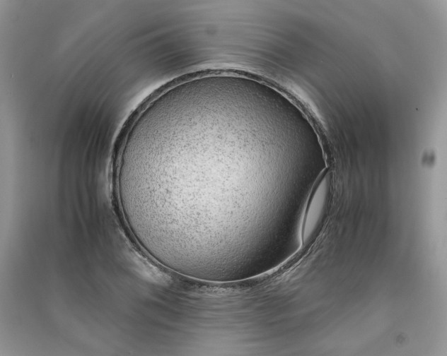 X0000090901076200708131347