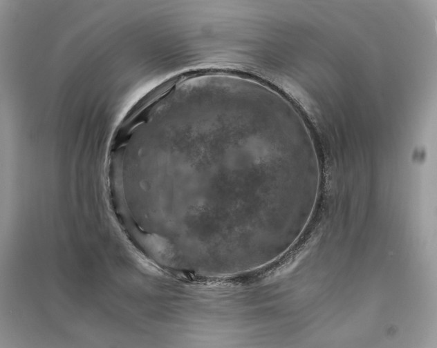 X0000090901077200708131347