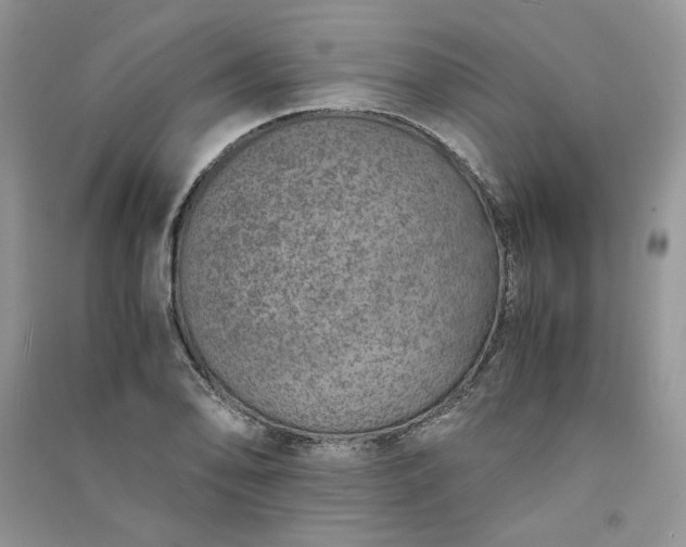 X0000090901078200708131347