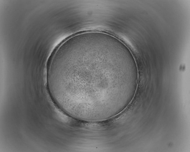 X0000090901079200708131347