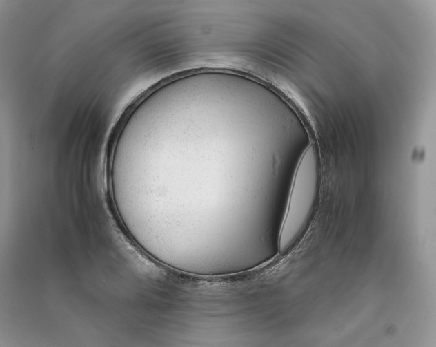 X0000090901080200708131347