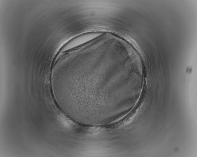 X0000090901081200708131347