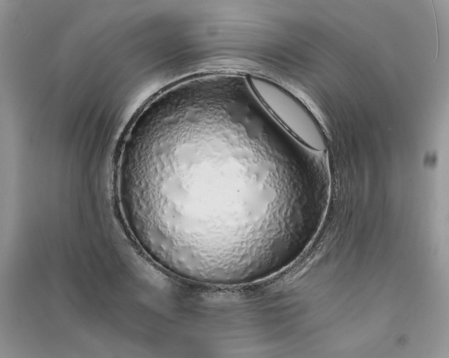 X0000090901083200708131347