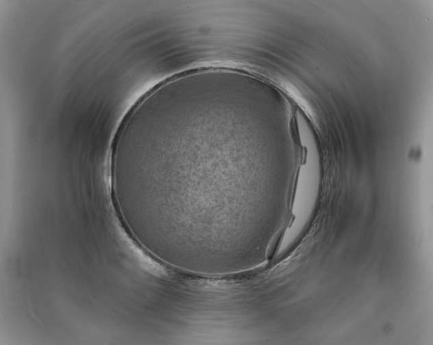 X0000090901084200708131347