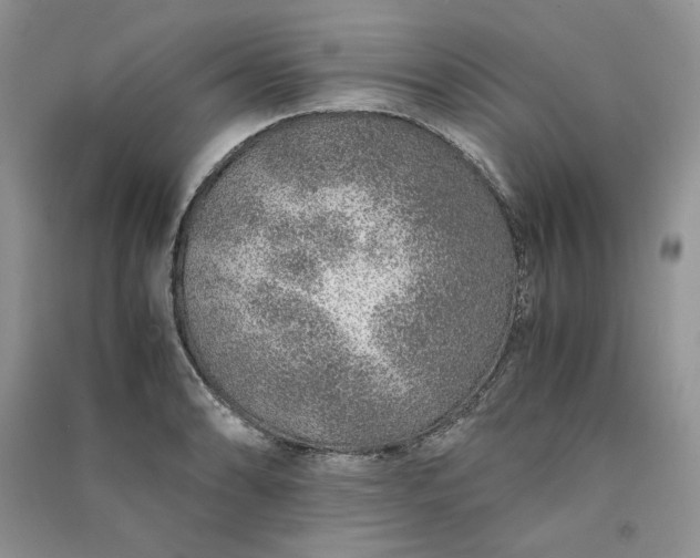 X0000090901086200708131347
