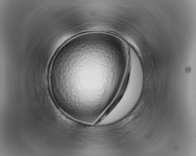 X0000090901087200708131347