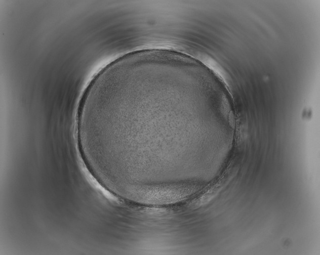 X0000090901088200708131347