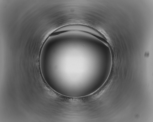 X0000090901089200708131347