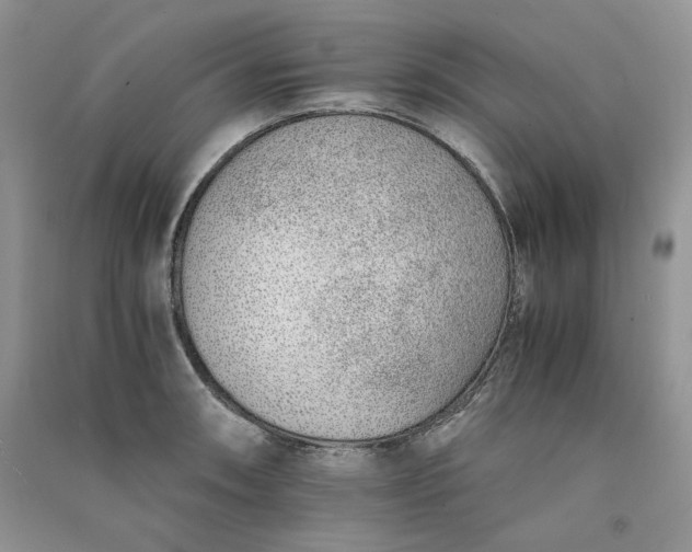 X0000090901090200708131347