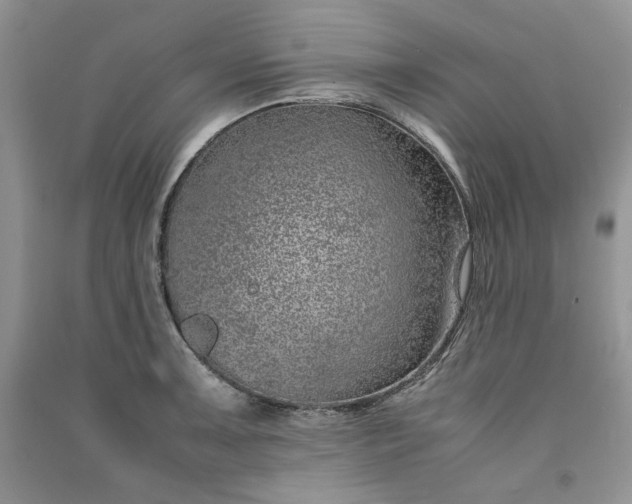 X0000090901091200708131347