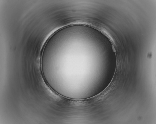 X0000090901092200708131347