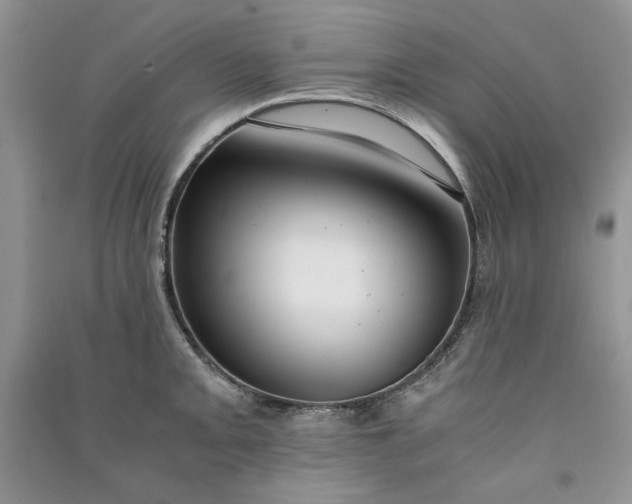 X0000090901093200708131347