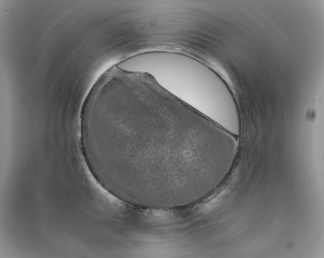 X0000090901095200708131347