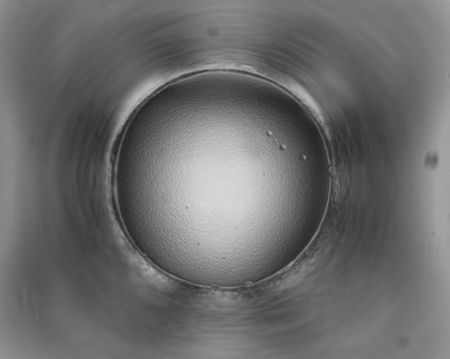 X0000090901096200708131347