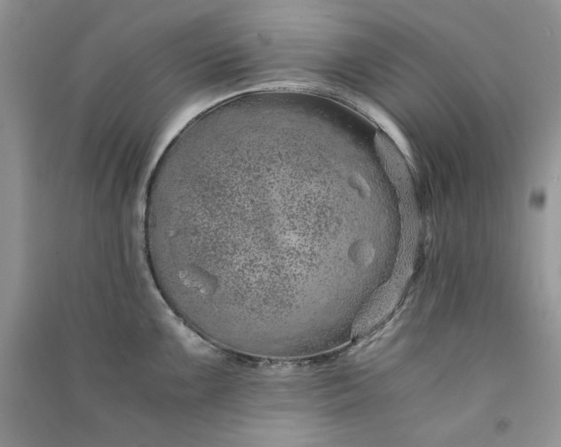 X0000090901099200708131347