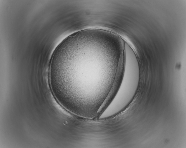 X0000090901100200708131347