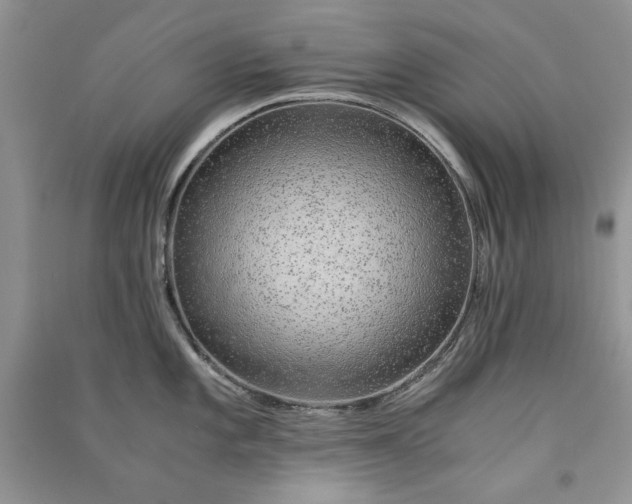 X0000090901101200708131347