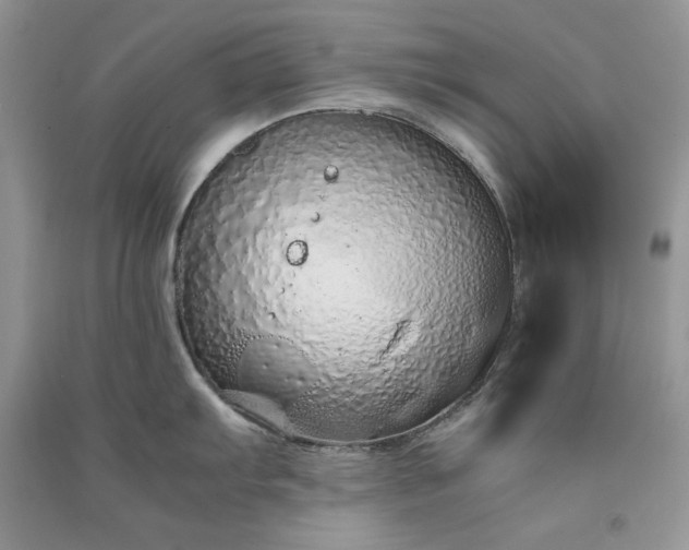 X0000090901103200708131347