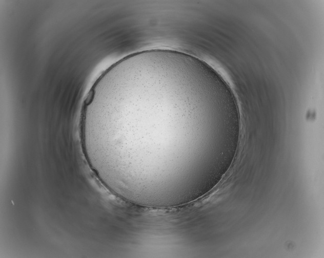 X0000090901104200708131347