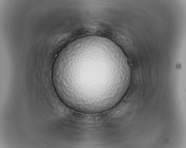 X0000090901105200708131346