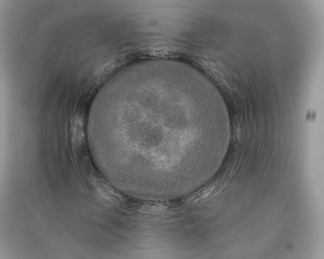 X0000090901106200708131346
