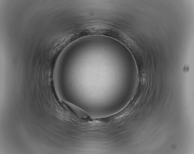 X0000090901108200708131346