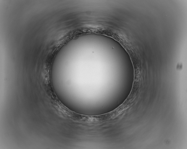 X0000090901109200708131346