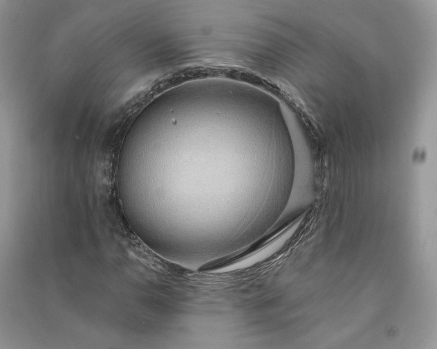 X0000090901110200708131346