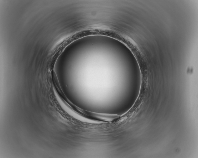 X0000090901112200708131346