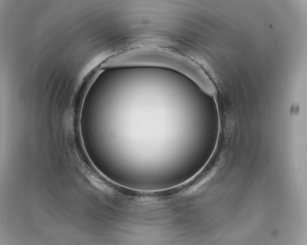 X0000090901114200708131346