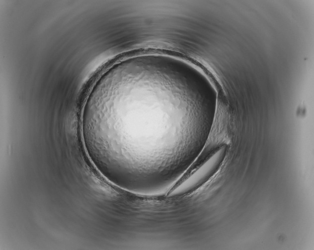 X0000090901115200708131346