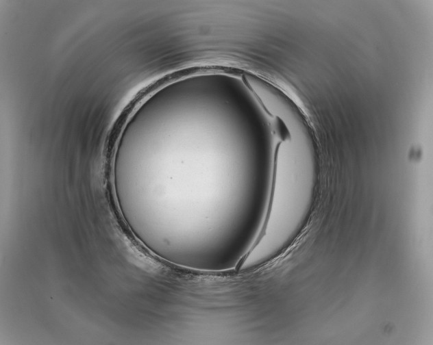 X0000090901116200708131346