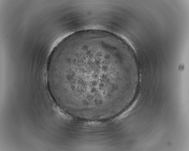 X0000090901117200708131347