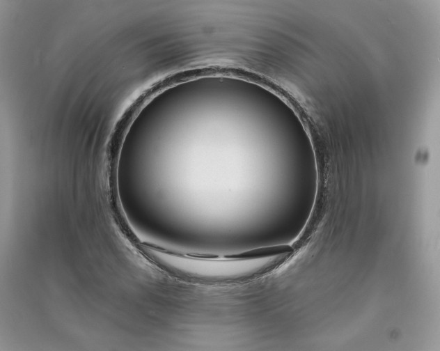 X0000090901118200708131347