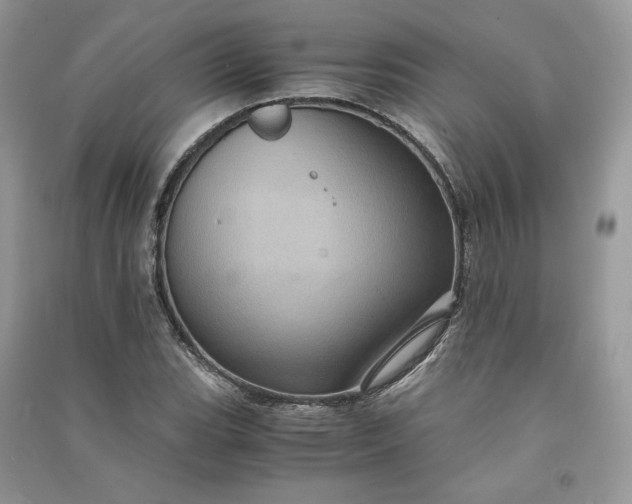 X0000090901119200708131347