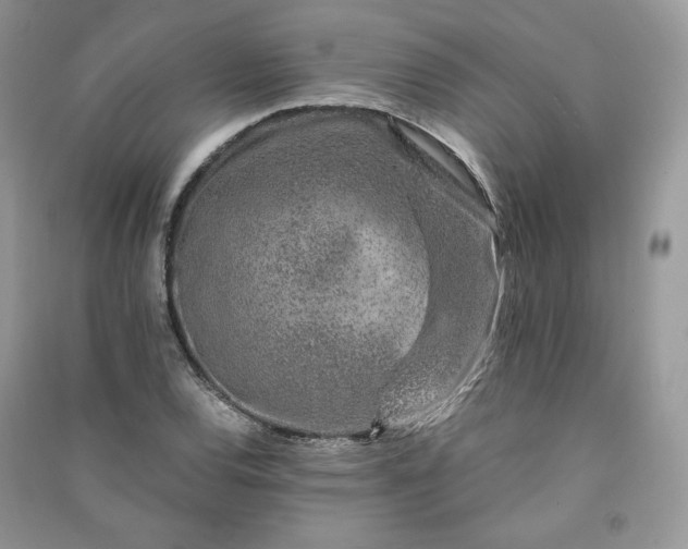 X0000090901120200708131347
