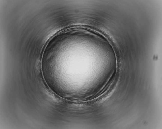 X0000090901121200708131347