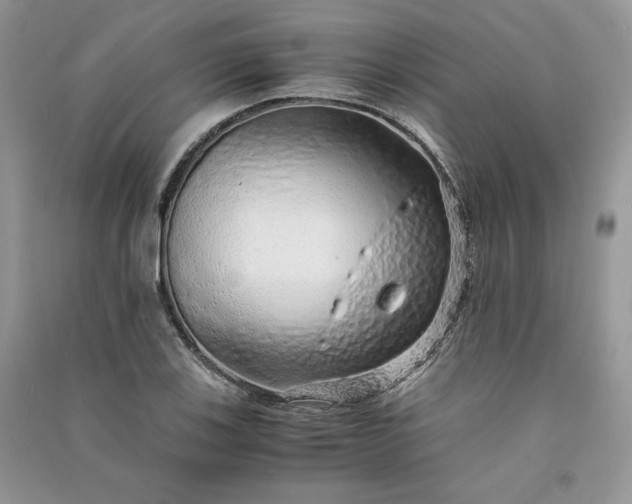 X0000090901123200708131347