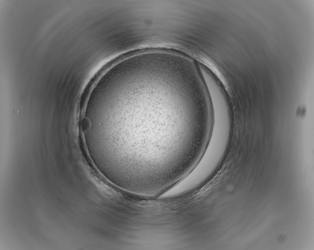 X0000090901124200708131347