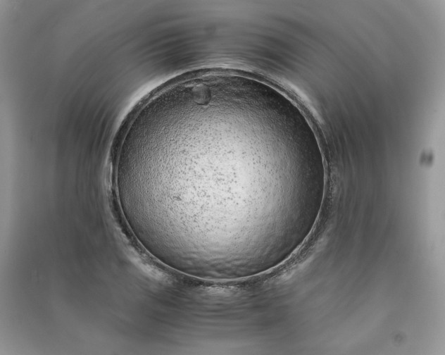 X0000090901125200708131347