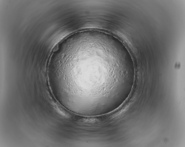 X0000090901129200708131347
