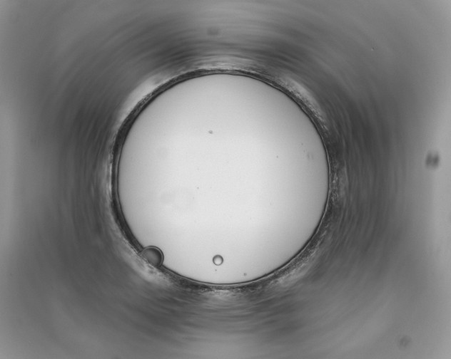 X0000090901130200708131347