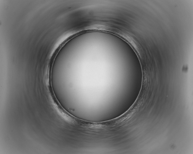 X0000090901131200708131347