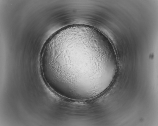 X0000090901133200708131347