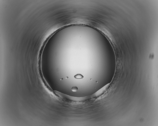 X0000090901135200708131347