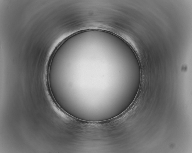 X0000090901136200708131347