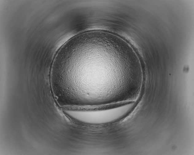X0000090901137200708131347